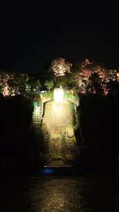 竖版航拍四川乐山大佛夜景