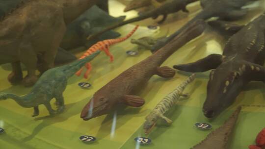 恐龙动物进化演变模型玩具视频素材模板下载
