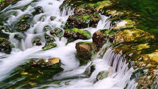 清泉石上流 幽谷溪流