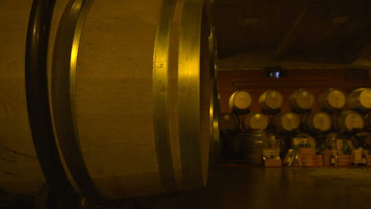 葡萄产业园里的酿酒的酒桶视频素材模板下载