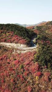 山间秋景公路航拍画面