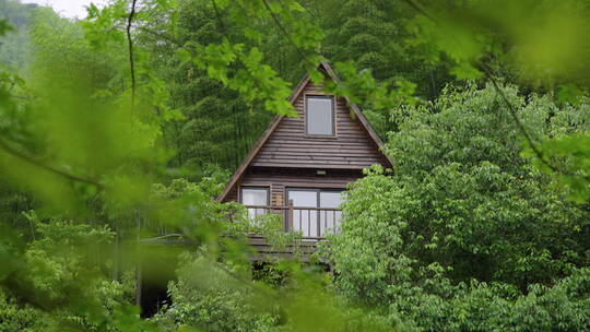 雨天林中小屋