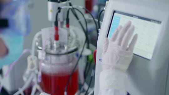 化验室 生物 细胞 培养 实验