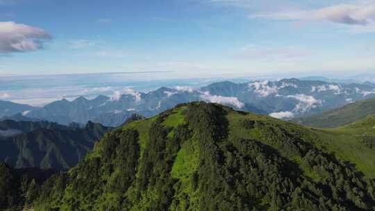 航拍湖北神农架神农顶景区自然风光