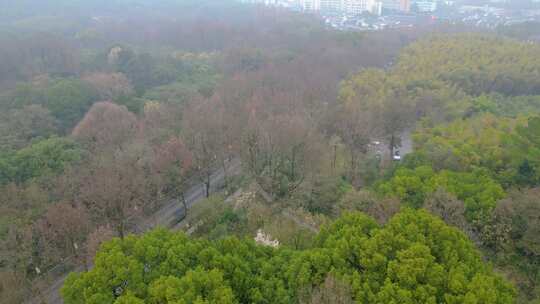 杭州植物园春天风景视频素材航拍