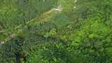 海南保亭黎族自治县热带雨林云海高视角航拍高清在线视频素材下载