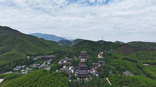 中国浙江杭州径山寺天下径山竹海延时