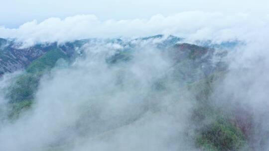 阿尔山好森沟景区航拍