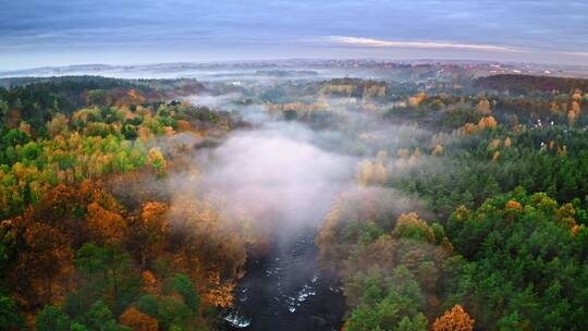 雾中的河流和森林