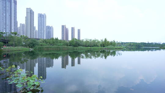 武汉中心城区戴家湖公园