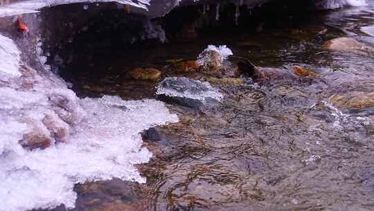 初春 冰雪融化 解冻 冰层 流水 融冰 河流