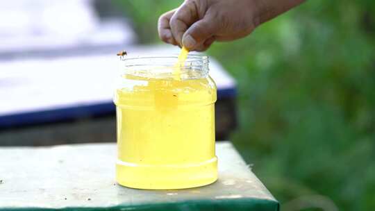 蜜蜂 养蜂人 蜂农