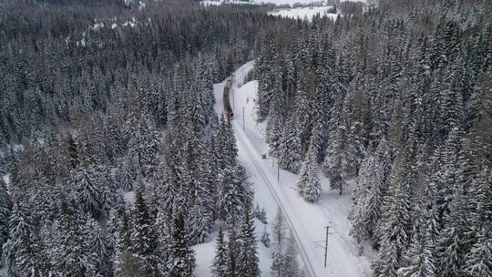 行驶在积雪覆盖森林铁轨上的火车