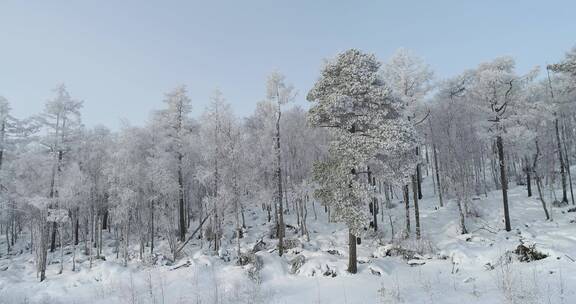 零下40度的低温航拍大兴安岭冰雪雾凇