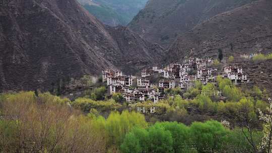 村庄乡村风景