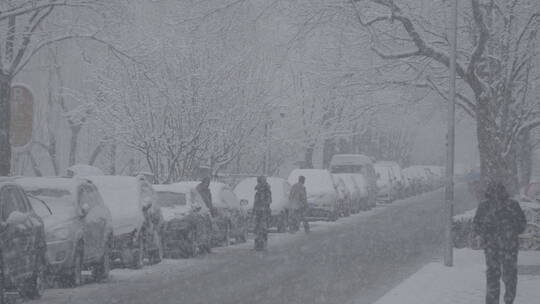 城市雪景 冬天下雪