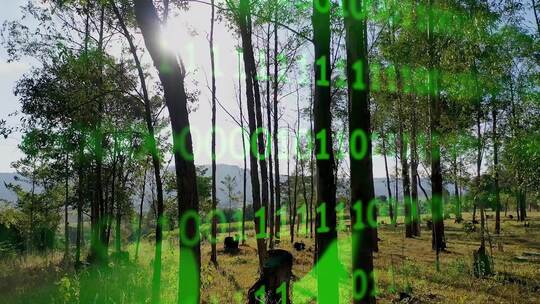 重新造林对气候控制的绿色能源效应。视频素材模板下载