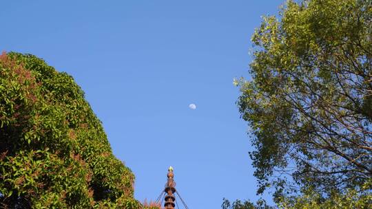 白天月亮树林石塔