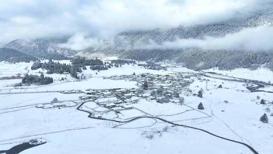 西藏林芝鲁朗林海雪原冬天乡村雪景风光航拍