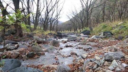 森林山泉溪水河流