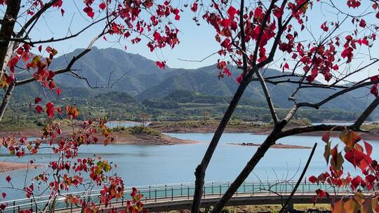 杭州千岛湖自然风景  4k