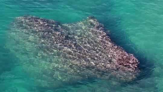 一大块岩石被淹没在浅海的水下视频素材模板下载