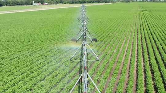中心枢轴灌溉喷水系统为新鲜农田作物浇水。水导致彩虹