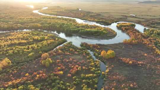 内蒙古额尔古纳根河湿地景区自然风光视频素材模板下载