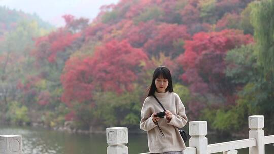 济南红叶谷景区，秋季满山红叶景观