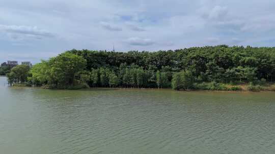 广州海珠湖公园海珠湿地航拍