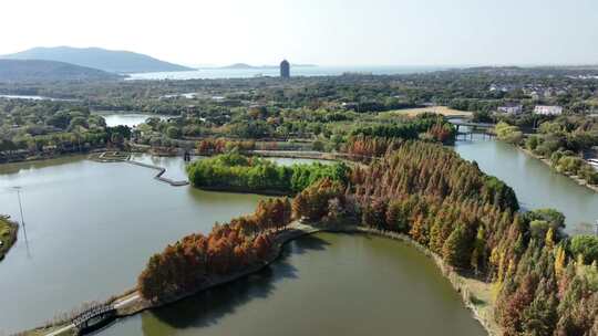 苏州太湖湿地公园（航拍视频原片素材）