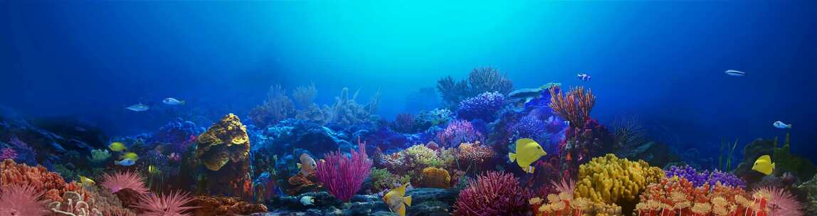 海底世界-水族馆