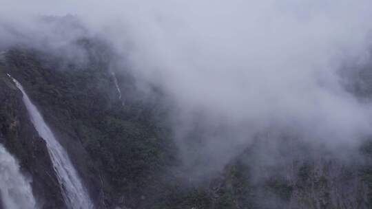 雪木黎明景观