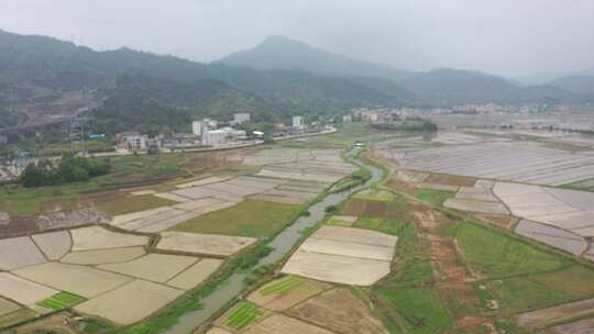 水稻春耕、南方稻田播种