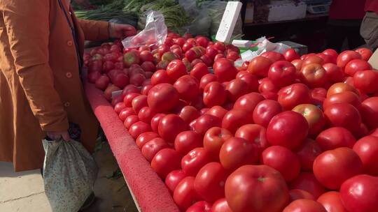 赶大集购买西红柿番茄圣女果买菜