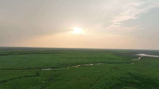 草原风光航拍鄱阳湖湿地公园风光阳光草地