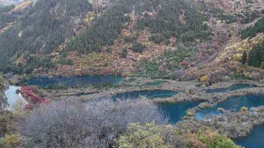 四川九寨沟彩林秋景和蓝色海子