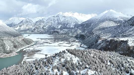 西藏昌都然乌湖，雪山，森林的航拍自然风光