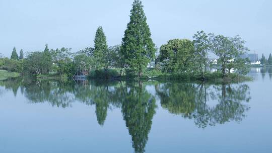 绍兴江南水乡东鉴湖视频