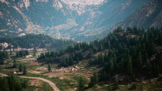 风景如画的山谷，蜿蜒曲折的道路