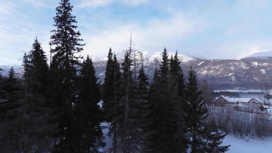 航拍新疆冬季喀纳斯河流晨雾雪山森林雪景