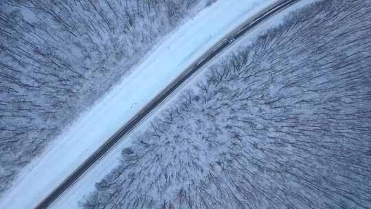 森林 冬季  雪景 公路视频素材模板下载