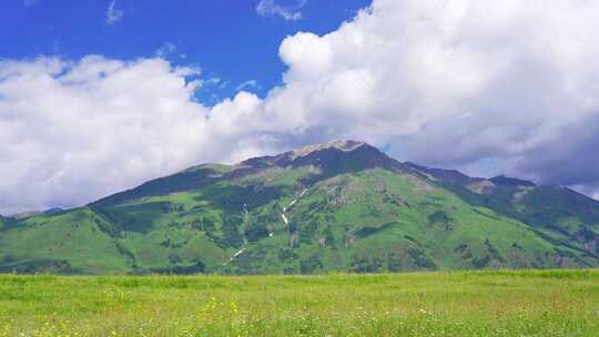 新疆北疆阿勒泰禾木村夏天高山草原自然风景