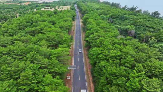 航拍一辆白车行驶在森林道路上