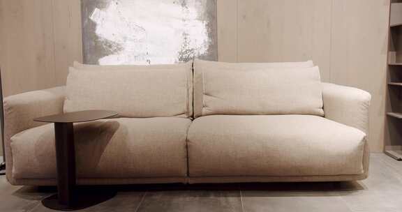 现代客厅内部配有舒适的沙发现代舒适的房子