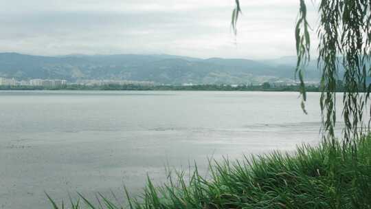 大理洱海湖岸风景