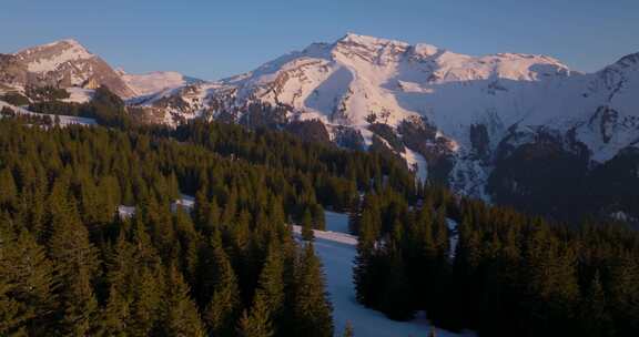 Morzine，雪，山，树