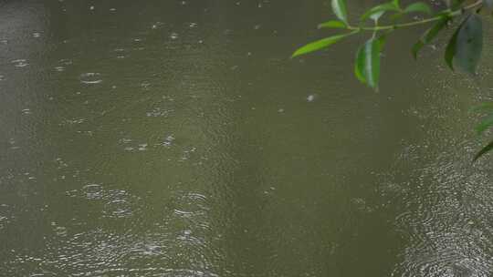 中式园林雨滴落下湖面涟漪慢镜头升格