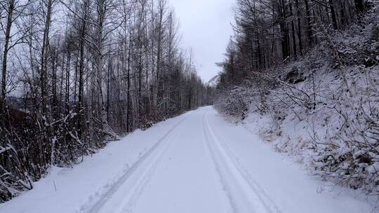 5K行驶在林海雪原的雪路上