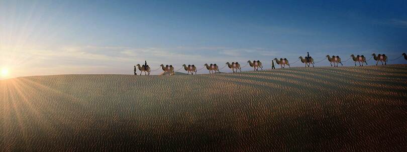 丝绸之路商队沙漠骆驼